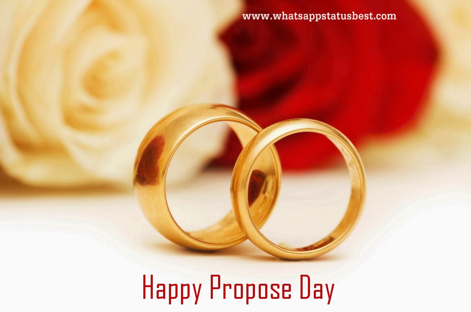 Happy Propose Day Golden Rings Picture