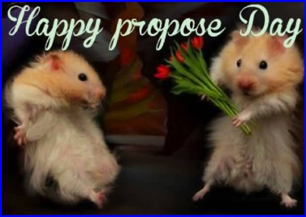 Happy Propose Day Hamsters Picture