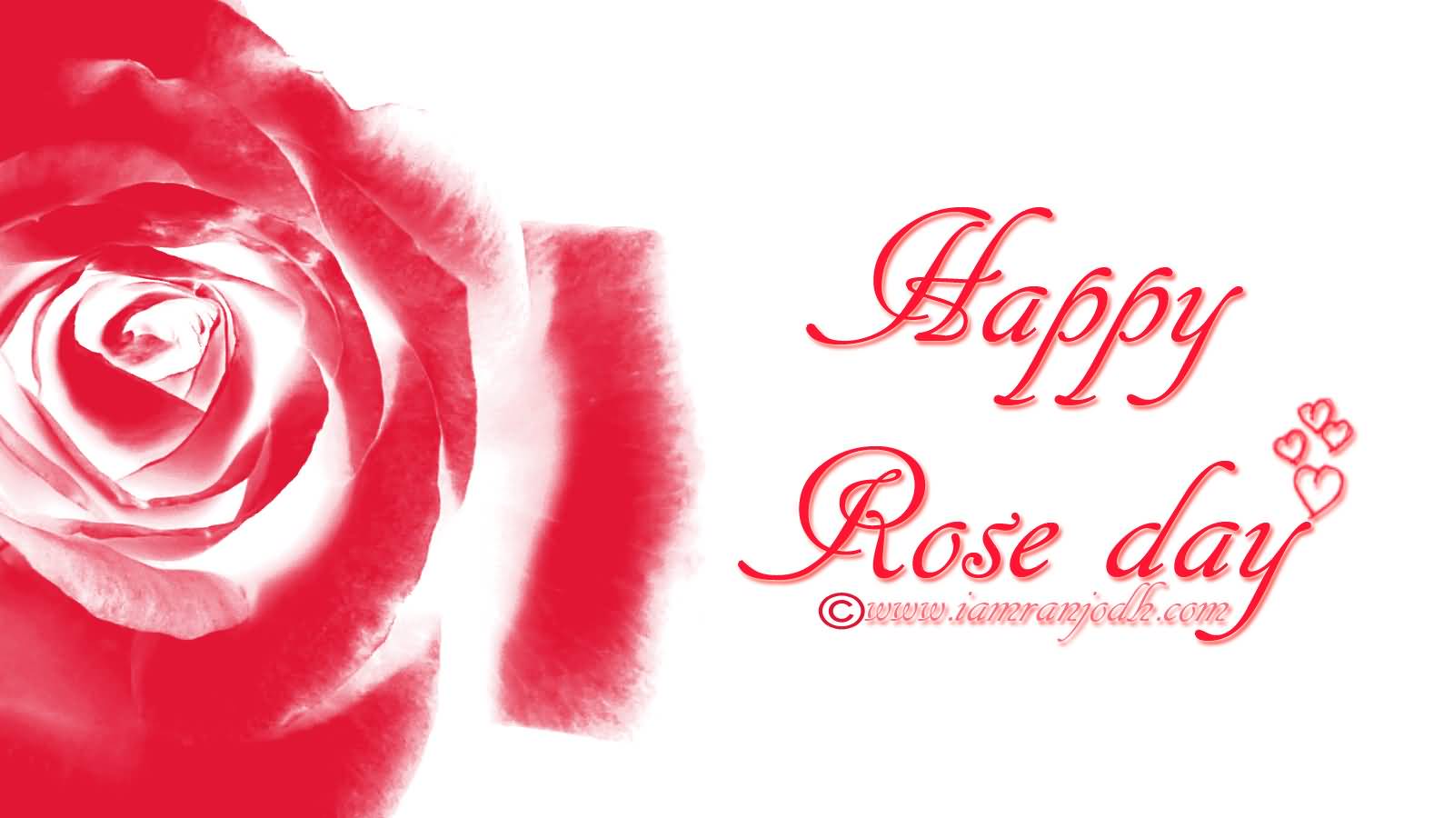 Happy Rose Day 2017 HD Wallpaper