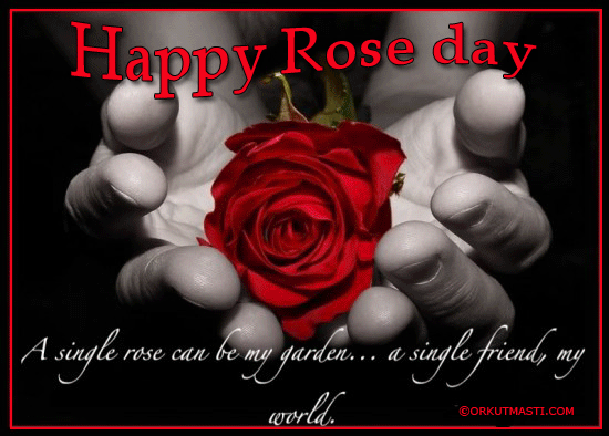 Happy Rose Day A Single Rose Can Be My Garden A Single Friend My World Animated Ecard