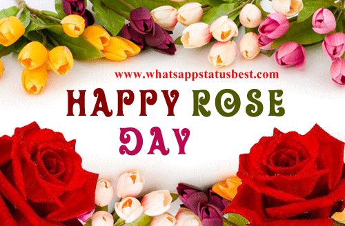Happy Rose Day Amazing Greeting Card