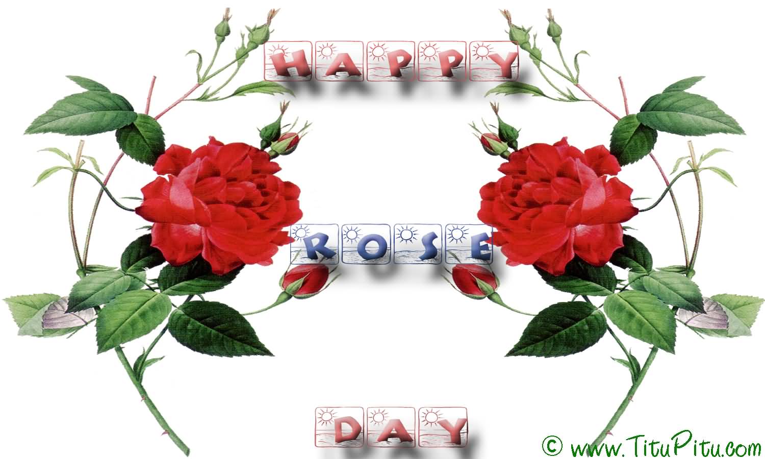 Happy Rose Day Beautiful Picture For Facebook