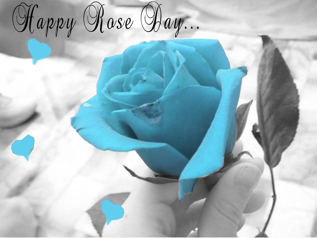 Happy Rose Day Blue Rose Bud In Hand