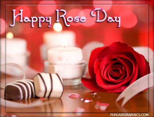 Happy Rose Day Card