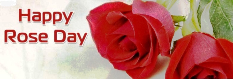 Happy Rose Day Facebook Cover Picture