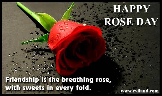 Happy Rose Day Friendship Is The Breathing Rose, With Sweets In Every Fold