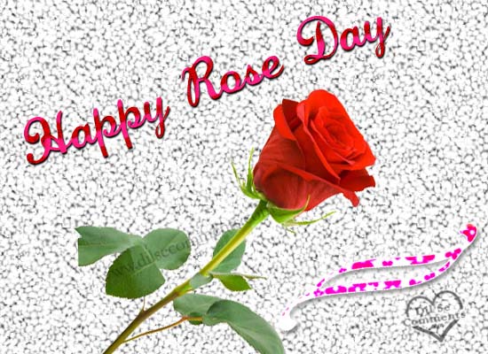 Happy Rose Day Greeting Card