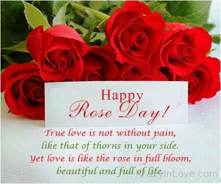Happy Rose Day Greeting Ecard