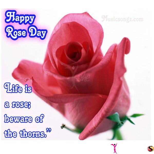 Happy Rose Day Life Is A Rose Beware Of The Thorns