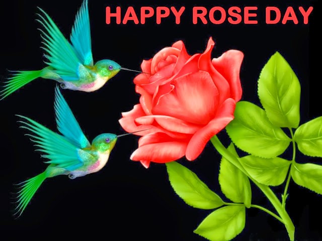 Happy Rose Day Love Birds With Rose Flower