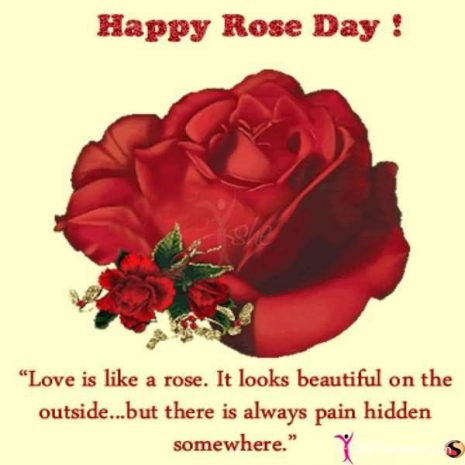 Happy Rose Day Love Is Like A Rose