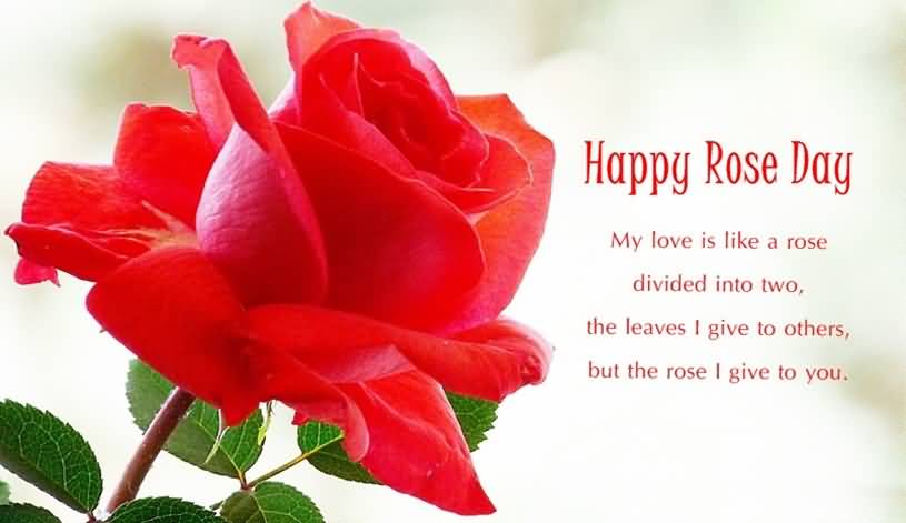 Happy Rose Day My Love Is Like A Rose Divided Into Two,The Leaves I Give To Others, But The Rose I Give To You