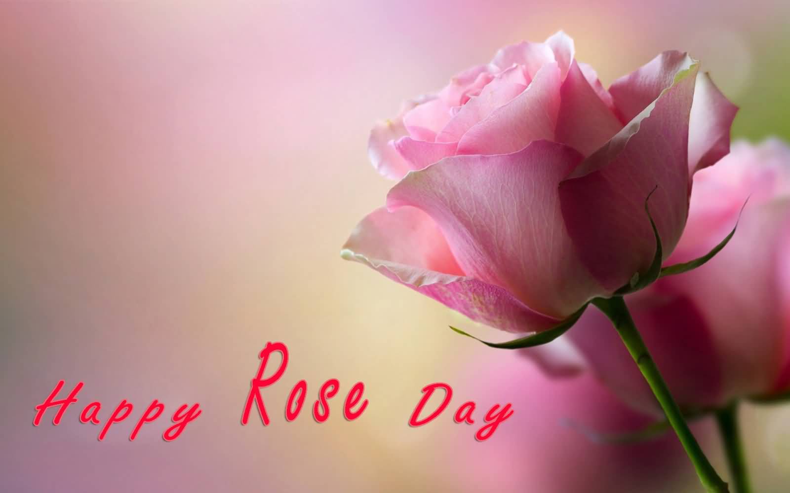 Happy Rose Day Pink Rose Bud