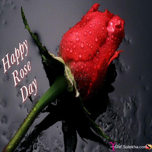 Happy Rose Day Red Rose Bud