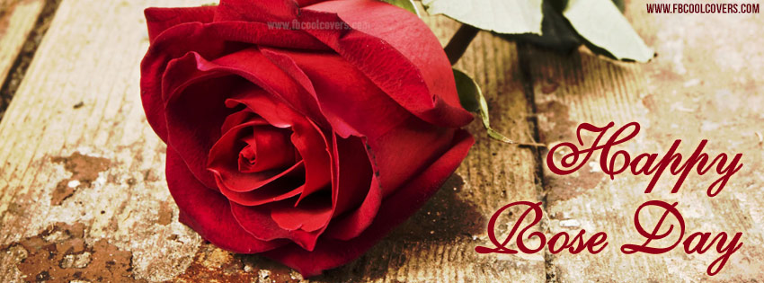Happy Rose Day Rose Bud Facebook Cover Photo