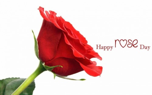 Happy Rose Day Rose Bud Greeting Card