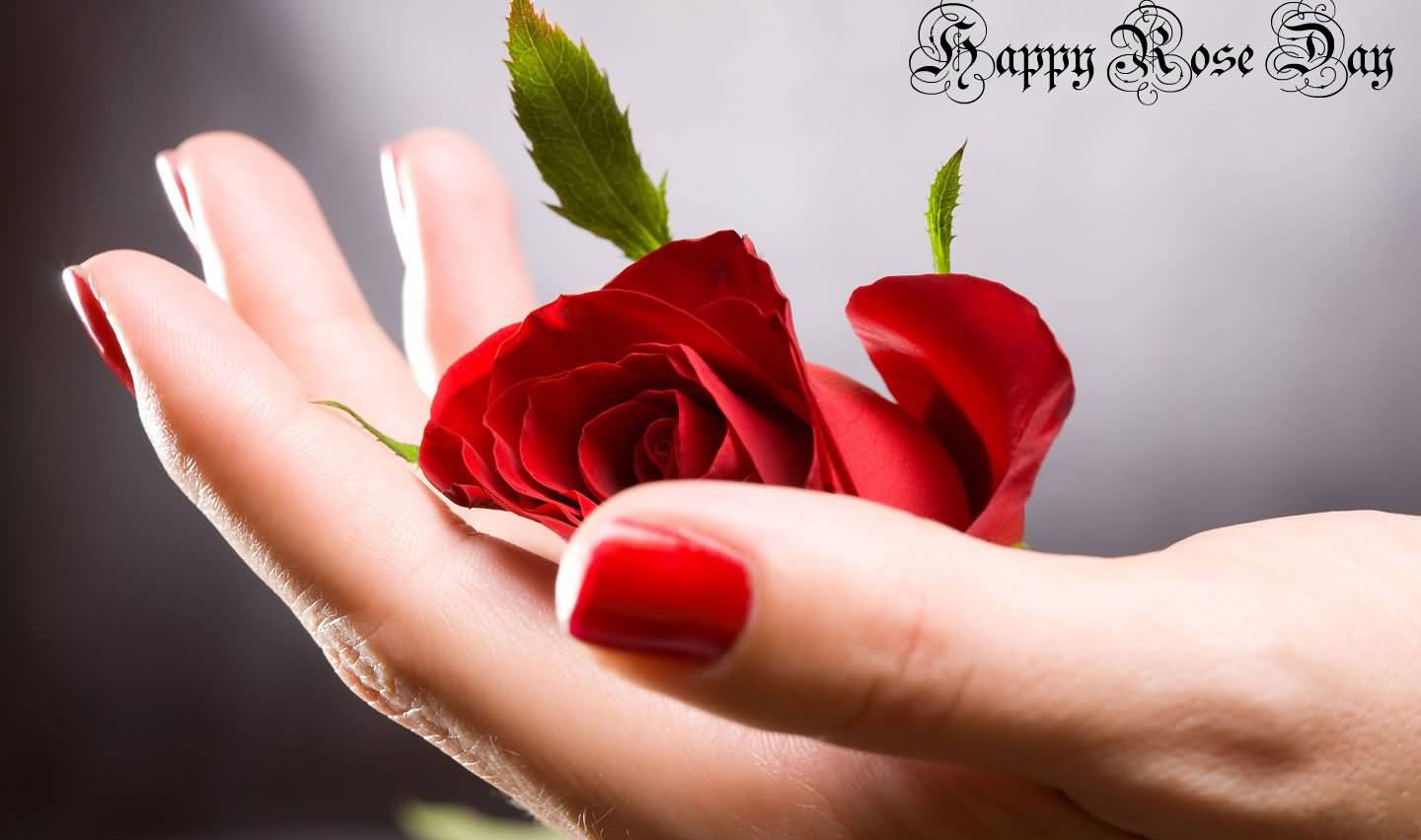 Happy Rose Day Rose Bud In Hand