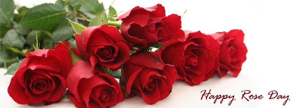 Happy Rose Day Rose Buds Facebook Cover Picture