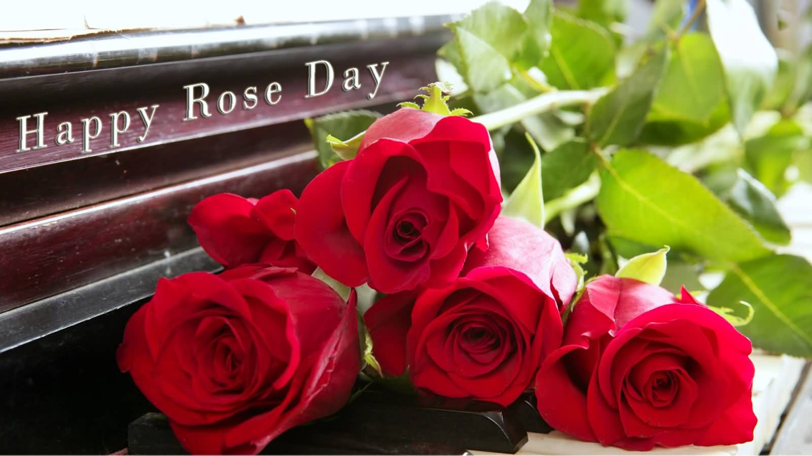 Happy Rose Day Rose Buds