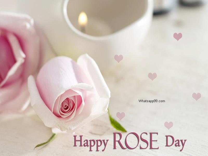 Happy Rose Day Rose Flowers Card