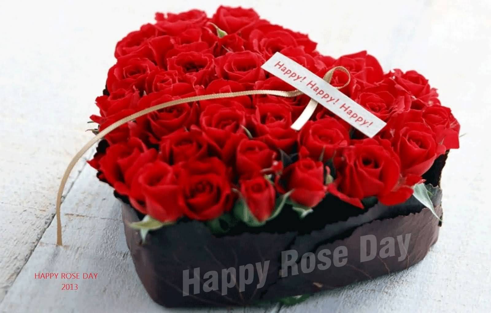 Happy Rose Day Rose Flowers For You