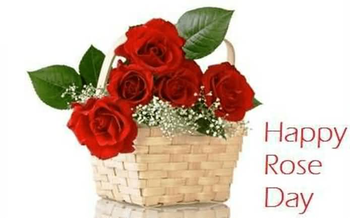 Happy Rose Day Rose Flowers In Bucket