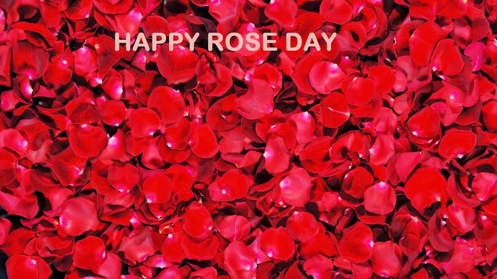 Happy Rose Day Rose Petals