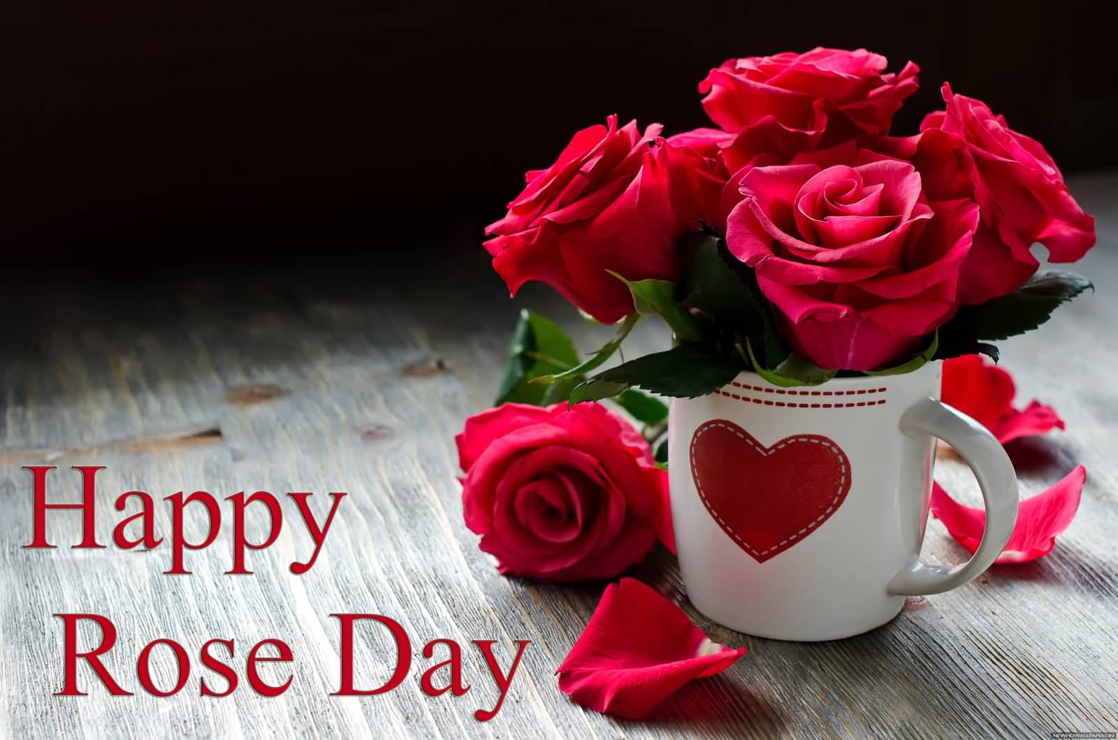 Happy Rose Day Roses For You