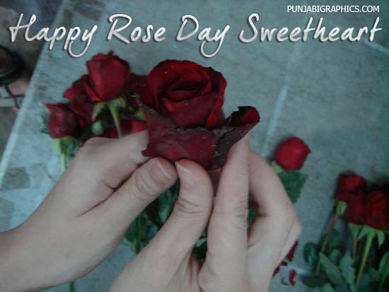 Happy Rose Day Sweetheart Roses In Hand