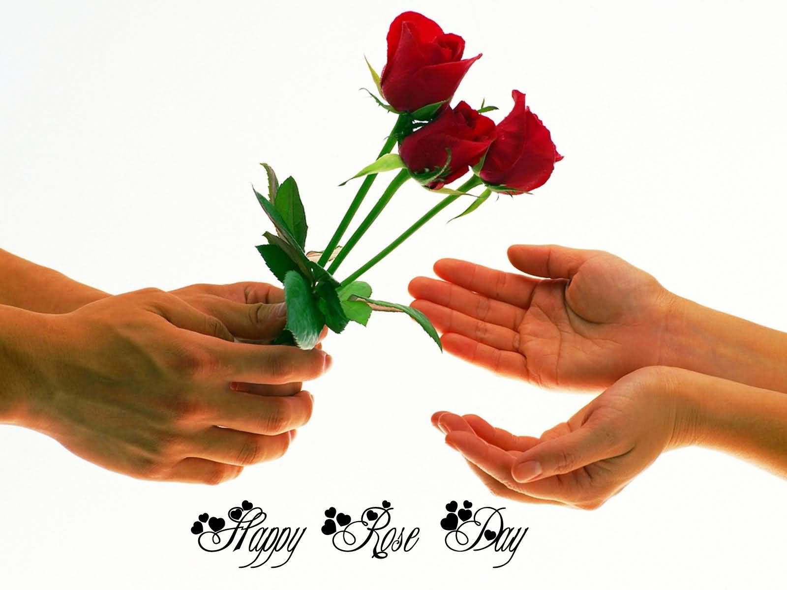 Happy Rose Day Three Roses For You Greeting Card