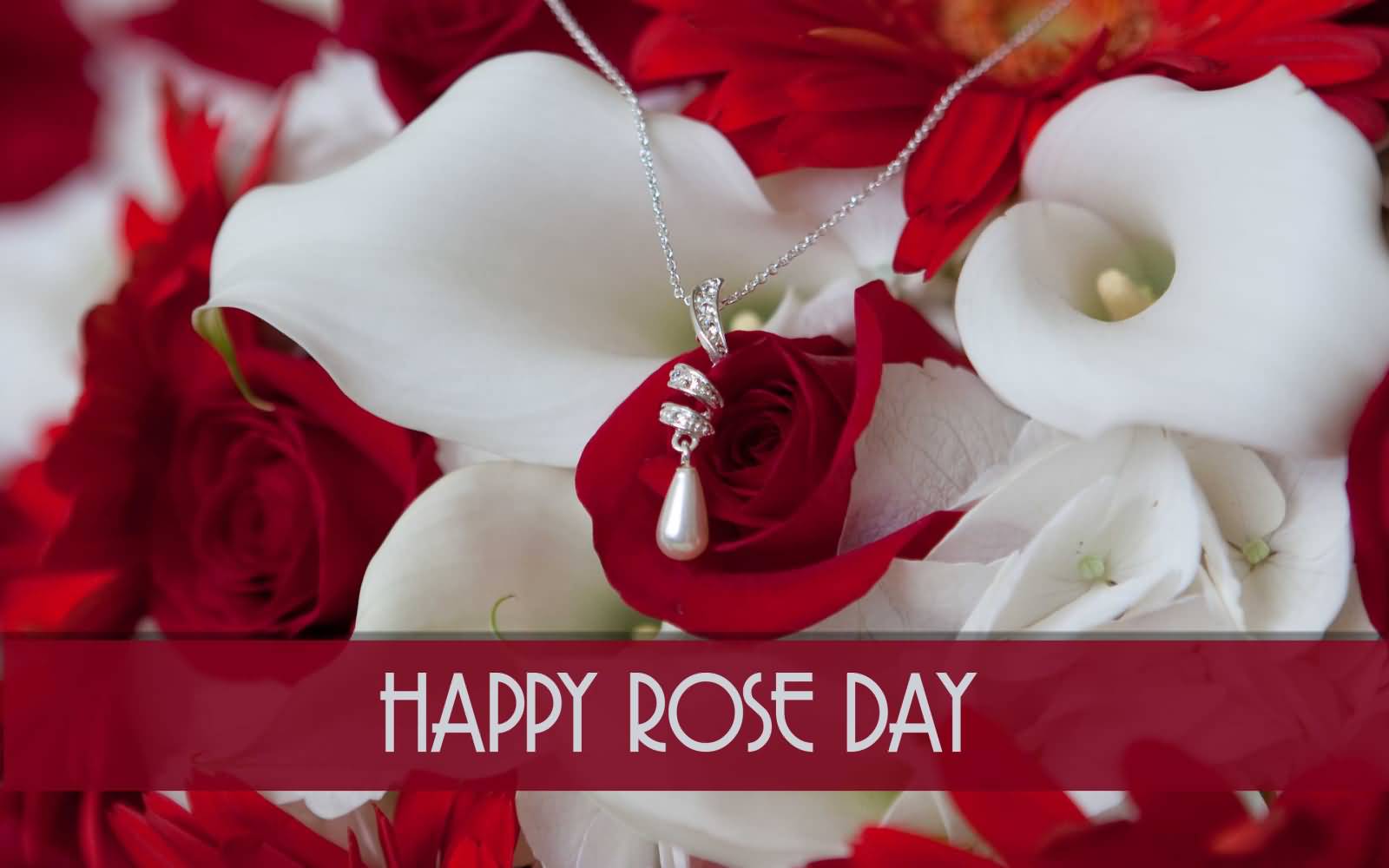 Happy Rose Day Wishes HD Wallpaper