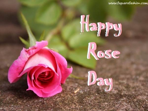Happy Rose Day Wishes Pink Rose Buhd Picture