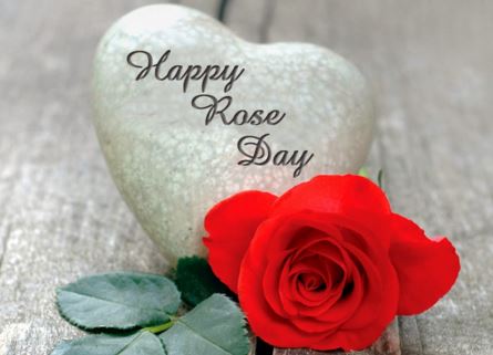 Happy Rose Day Written On Heart Shaped Stone And Rose Bud Picture