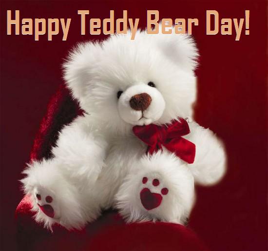 Happy Teddy Bear Day Beautiful White Teddy