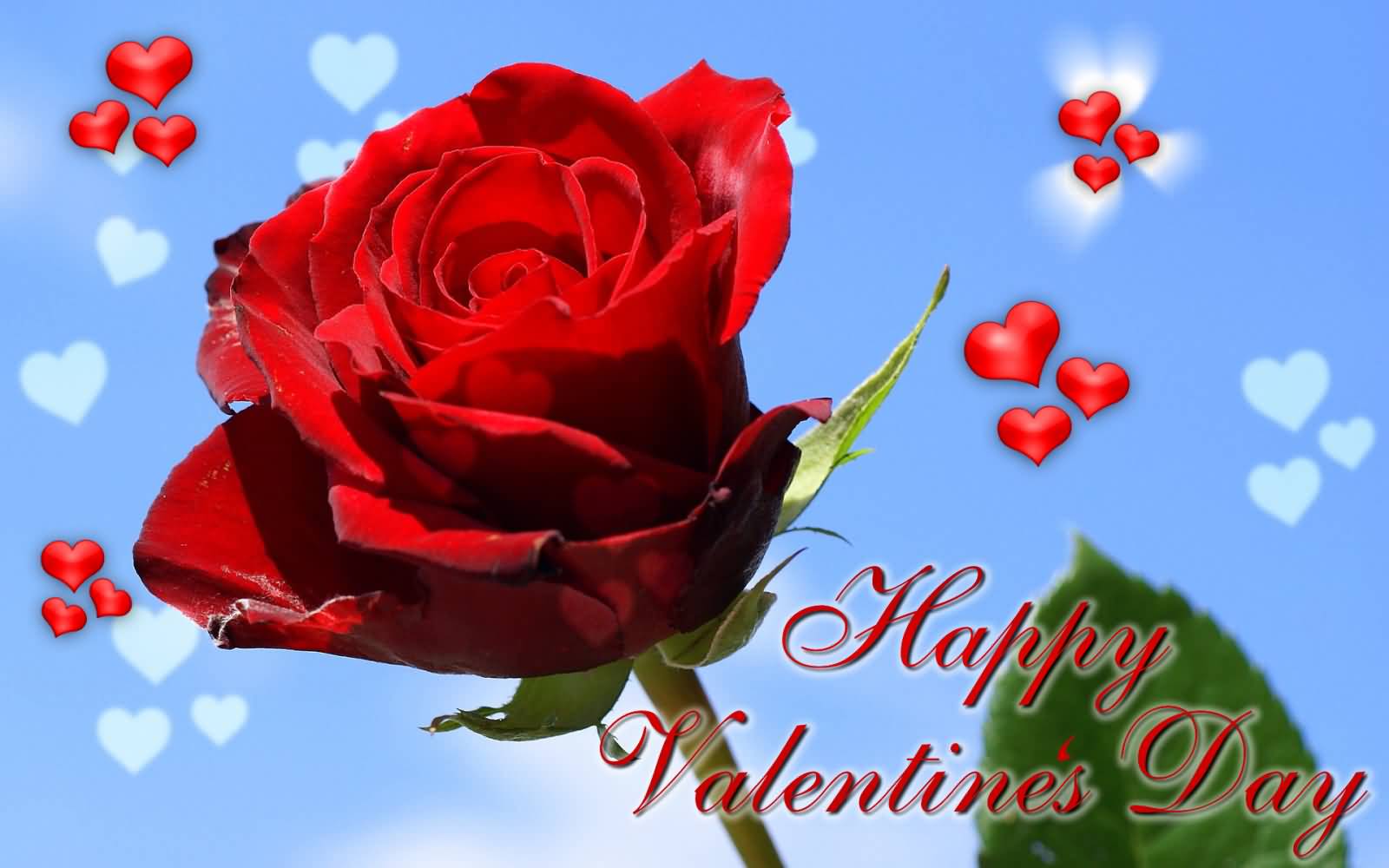 Happy Valentine's Day Rose Flower Bud And Hearts Wallpaper