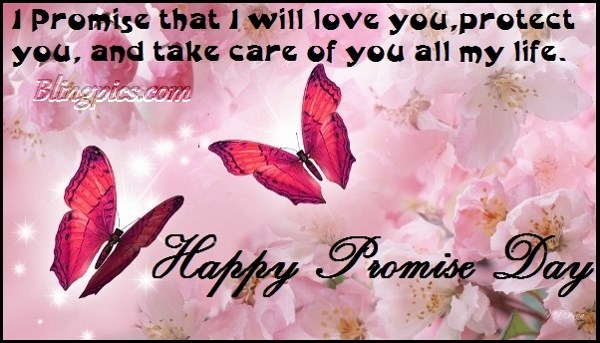 I Promise That I Will Love You, Protect You, And Take Care of You All My Life Happy Promise Day Butterflies Card