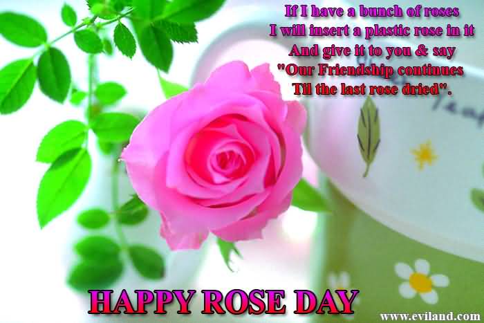If I Have A Bunch Of Roses I Will Insert A Plastic Rose In It Happy Rose Day