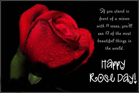 If You Stand In Front Of A Mirror With 11 Roses You'll See 12 Of The Most Beautiful Things In The World Happy Rose Day