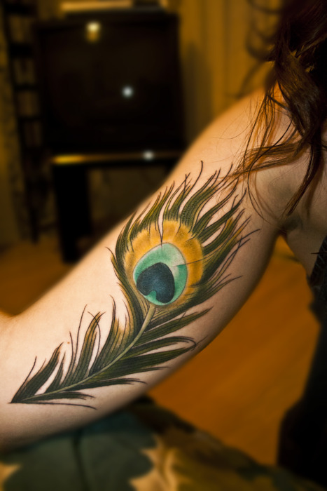 Inner Bicep Peacock Feather Tattoo