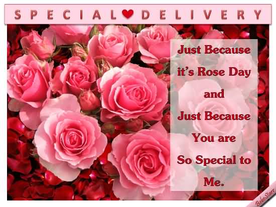 Just Because It’s Rose Day And Just Because You Are So Special To Me Card