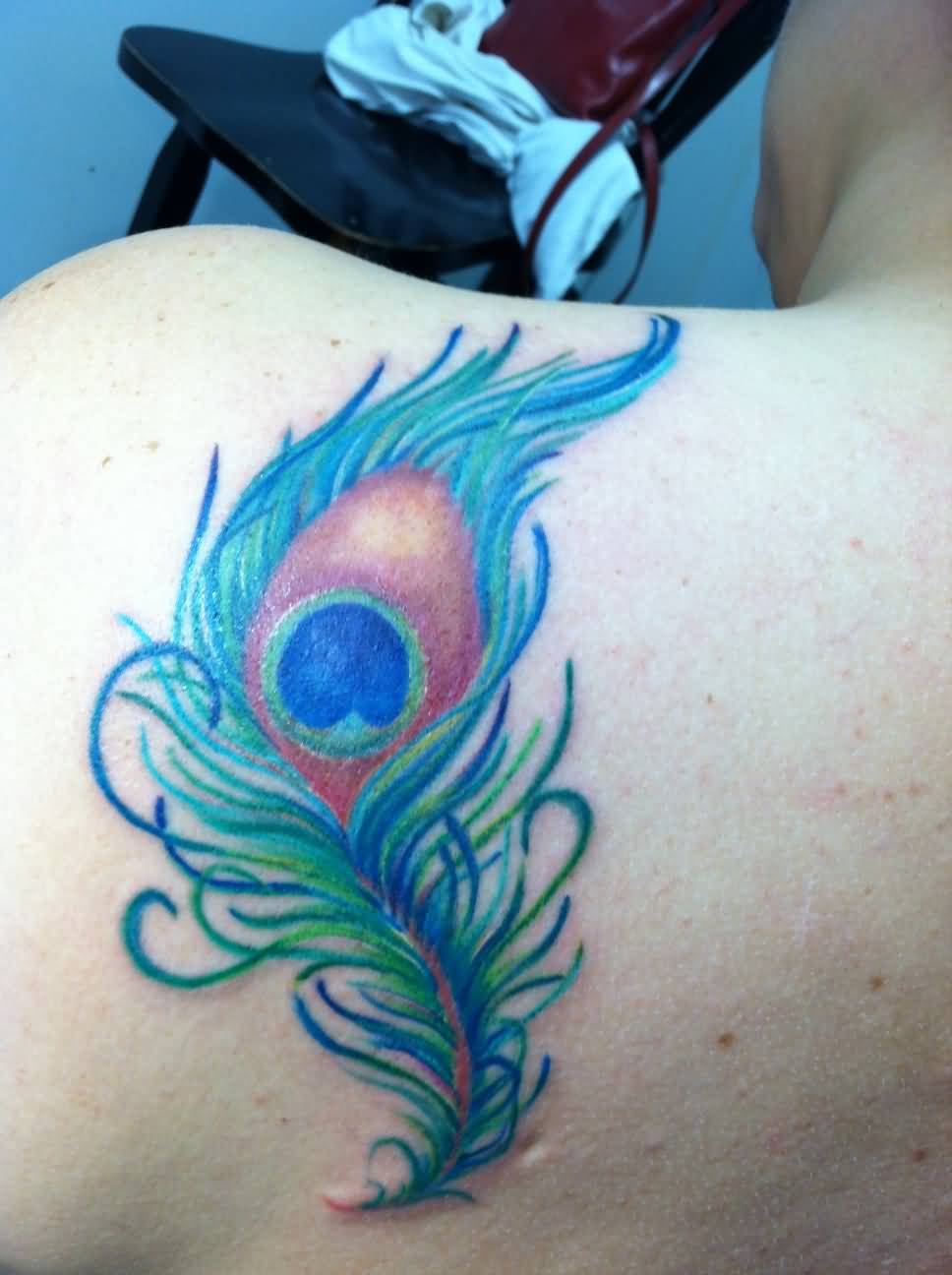 Left Back Shoulder Beautiful Peacock Feather Tattoo