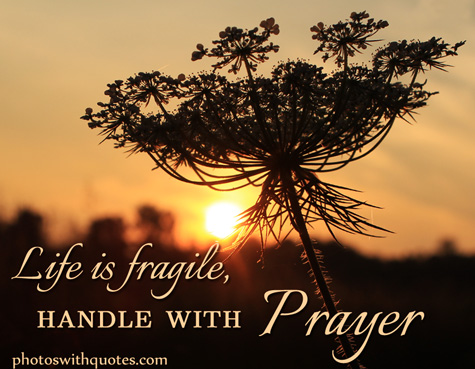 Life is fragile, handle with prayer
