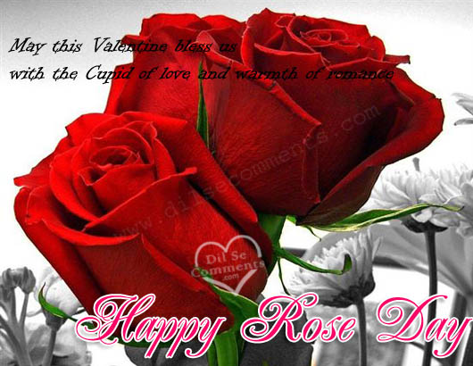 May This Valentine Bless Us With The Cupid Of Love And Warmth Of Romance Happy Rose Day