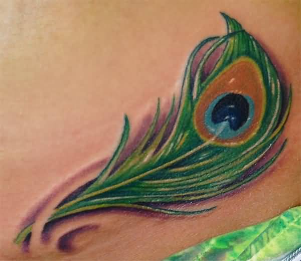 Nice Peacock Feather Tattoo Style