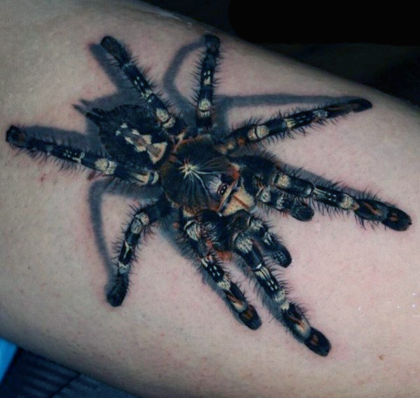 Nice Spider Tattoo Idea