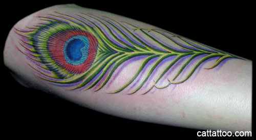 Peacock Feather Tattoo On Arm Sleeve