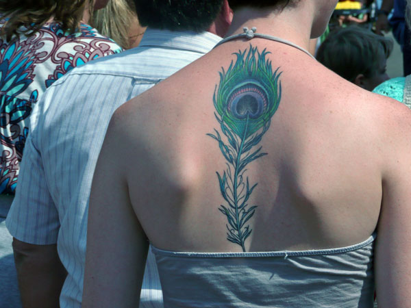 Peacock Feather Tattoo On Girl Back Body