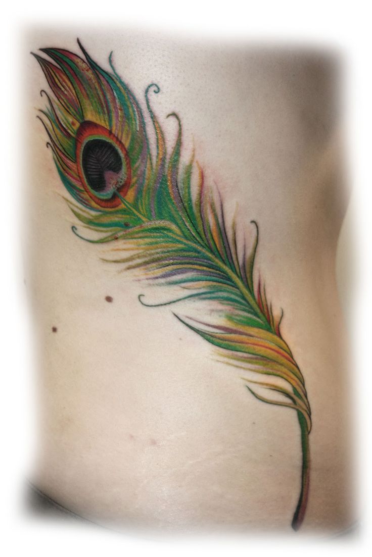 Peacock Feather Tattoo On Girl Side Rib