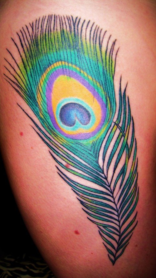 Peacock Feather Tattoo On Side Leg