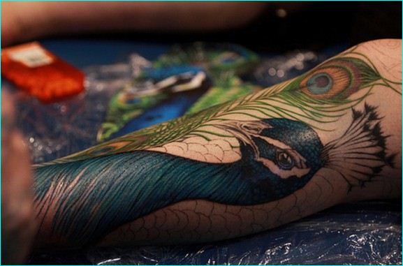 Peacock Head And Peacock Feather Tattoo